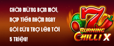 Giao diện cá cược thể thao trực tuyến tại N88